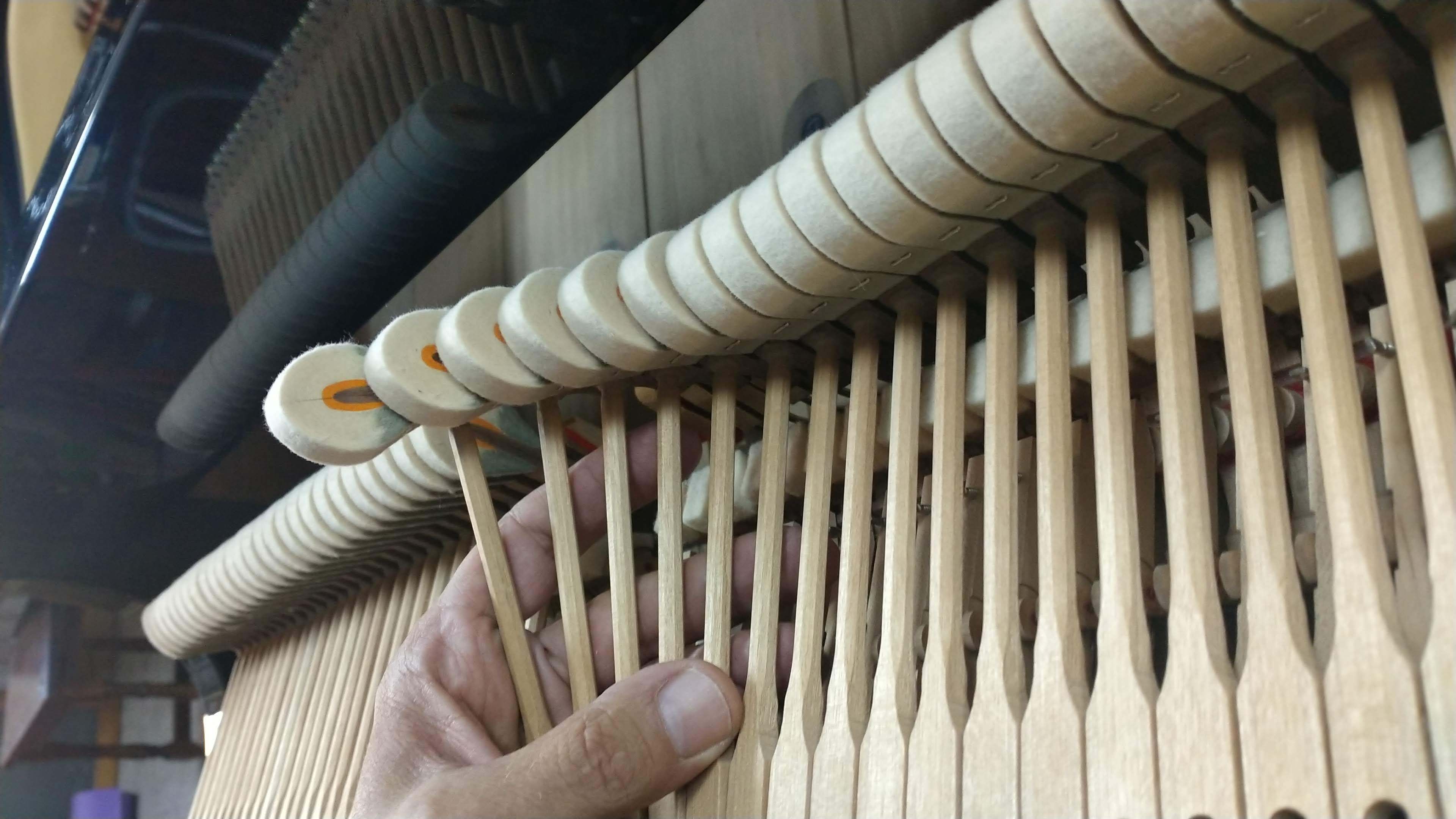 Cuerdas y apagadores de piano Steinway blanco